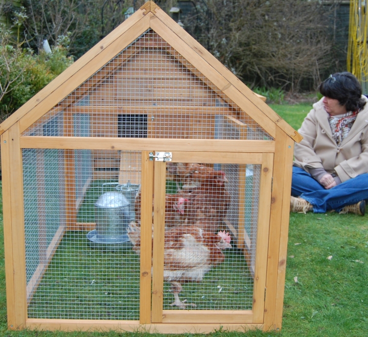 Here come the Girls!