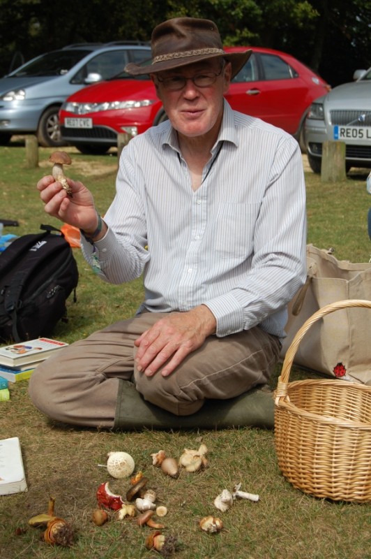 Harvest Time: Forest Fungi Foray