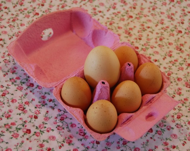 An eggstreme eggsample