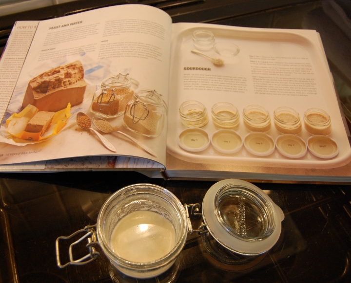 In the Kitchen: Making a Sourdough starter. 