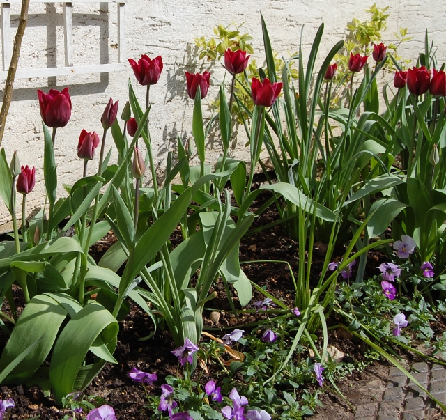 In the Garden: Weather