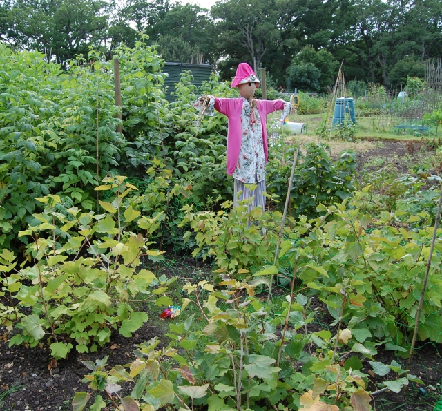 The Growing Year: Successes and failures 