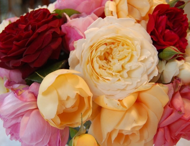 A single rose can be my garden... 