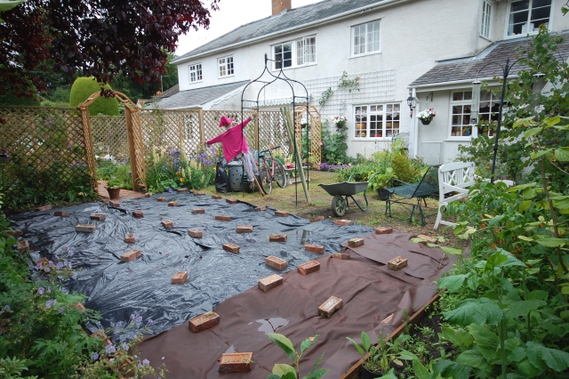 In the Garden: The bit she didn't want to tell you about .....