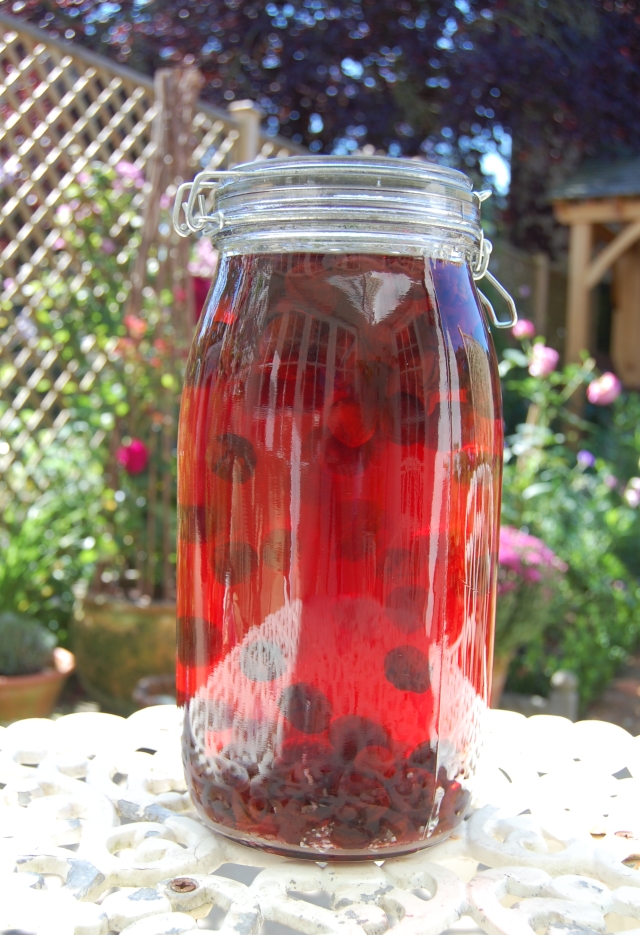 In the Kitchen: Damson Gin