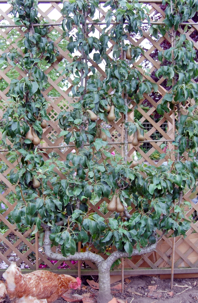 I don't like Mondays ..... 