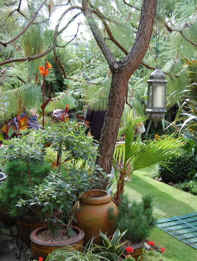 Garden Hopping: Victoria's Backyard 